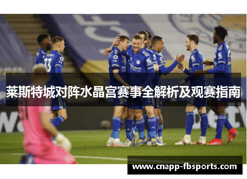 莱斯特城对阵水晶宫赛事全解析及观赛指南