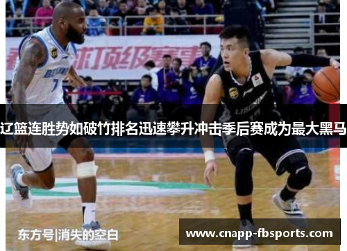 辽篮连胜势如破竹排名迅速攀升冲击季后赛成为最大黑马